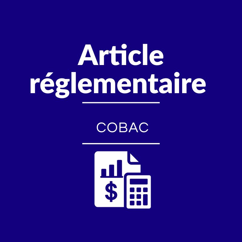 Article 13 – COBAC R-2025/03